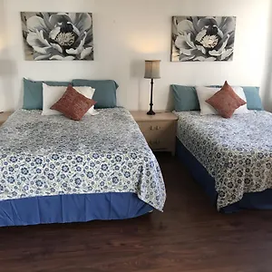 Apartment Waikiki Banyan